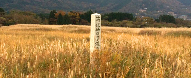 草紅葉の戦場ヶ原から男体山を臨む