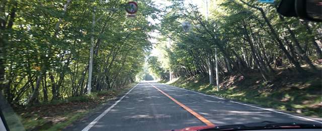 日光にて車内より撮影