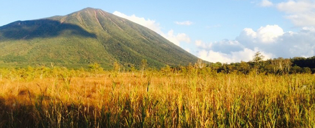 草紅葉の戦場ヶ原から男体山を臨む