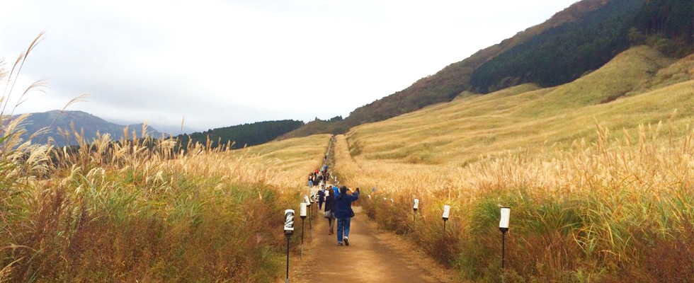 ススキ草原の歩道